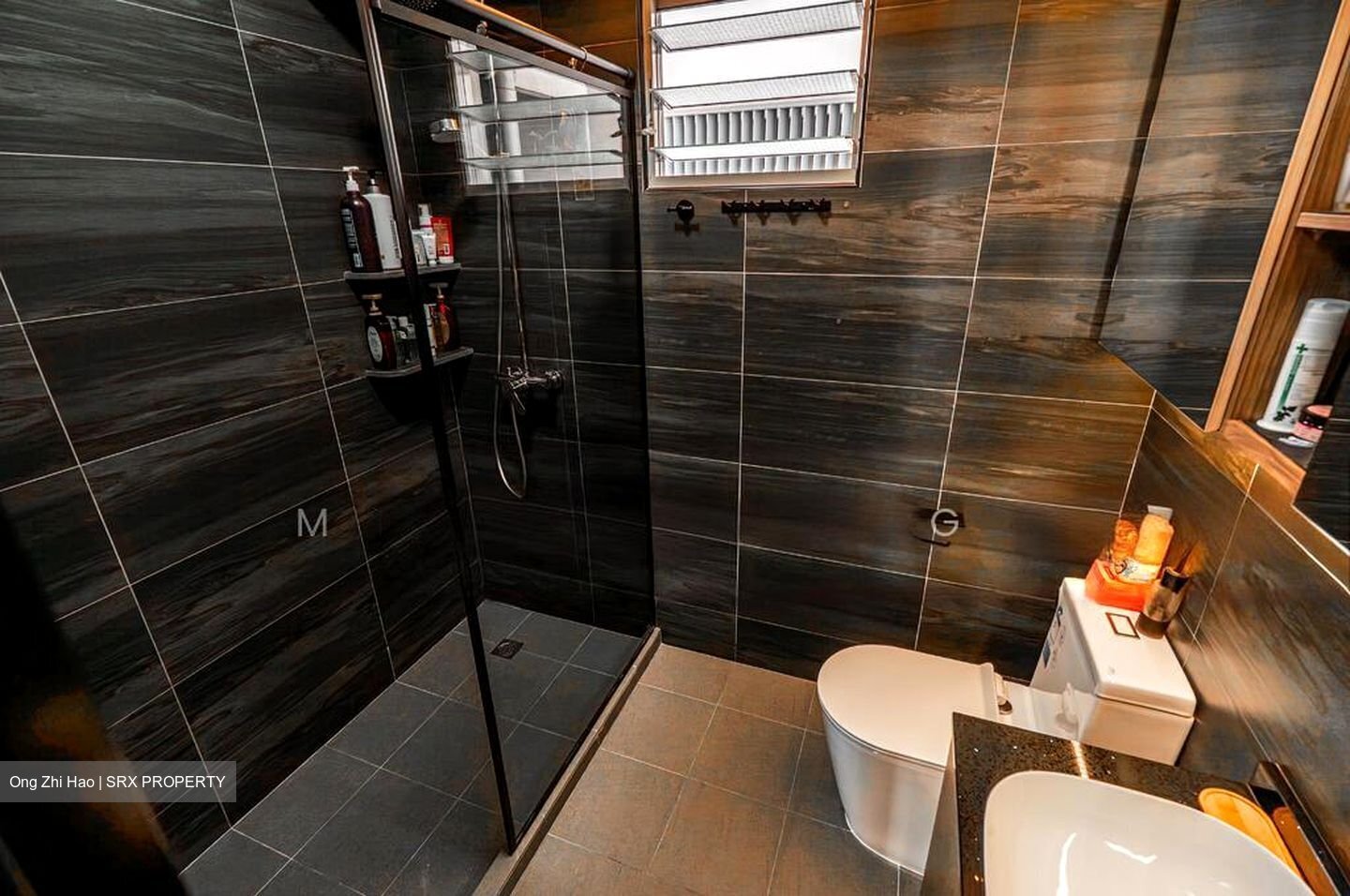 Blk 106A Alkaff Vista (Toa Payoh), HDB 4 Rooms #501895361